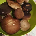 Апартаменты Ca Da Liggia Майссана