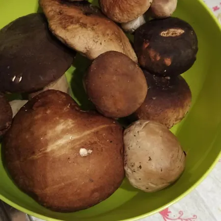 Apartman Ca Da Liggia Maissana