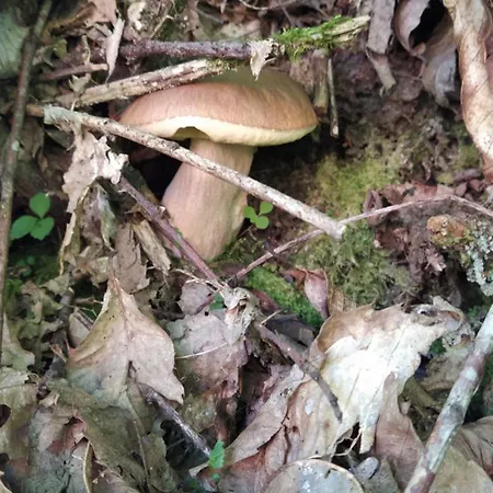 Ca Da Liggia Апартаменты *