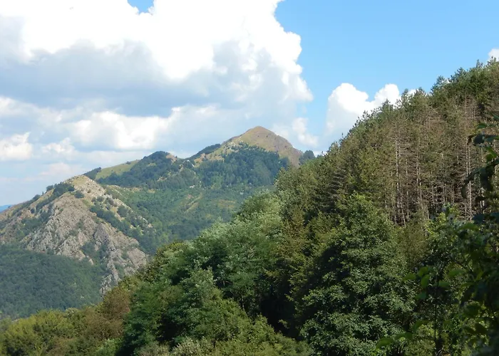 Ca Da Liggia * Maissana