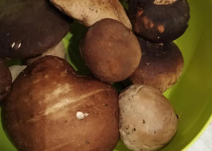 Διαμέρισμα Ca Da Liggia Maissana