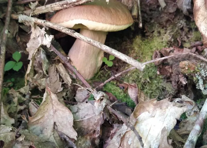 Ca Da Liggia Διαμέρισμα *